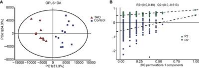 Integrative metabolic analysis of orbital adipose/connective tissue in patients with thyroid-associated ophthalmopathy